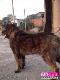 ��ʹ������Ȯ�߼���һ��