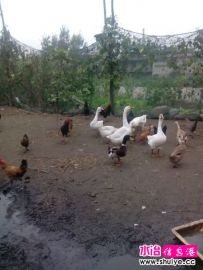  ⡢Եѿ